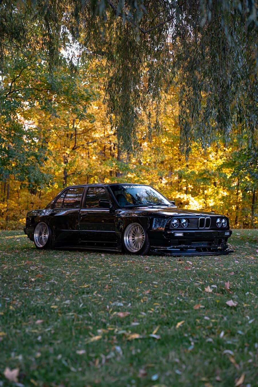 Widebody BMW E30 @lojo_arts