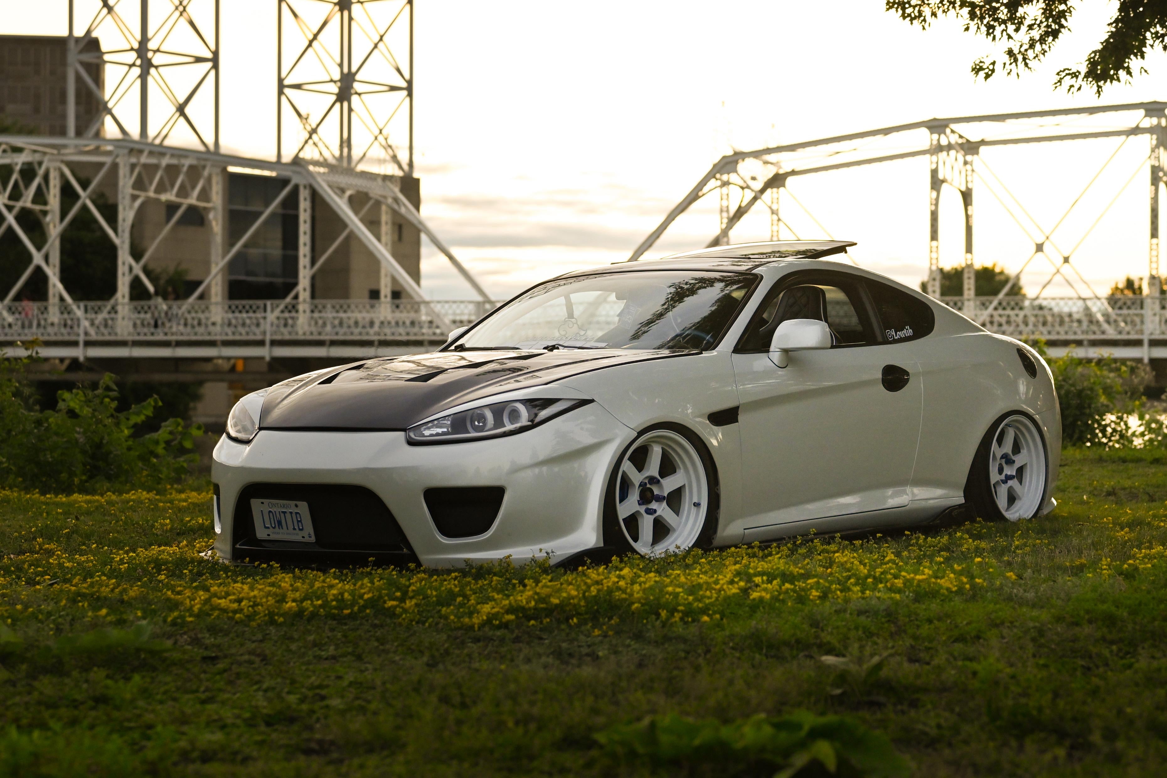 Tiburon @lowtib